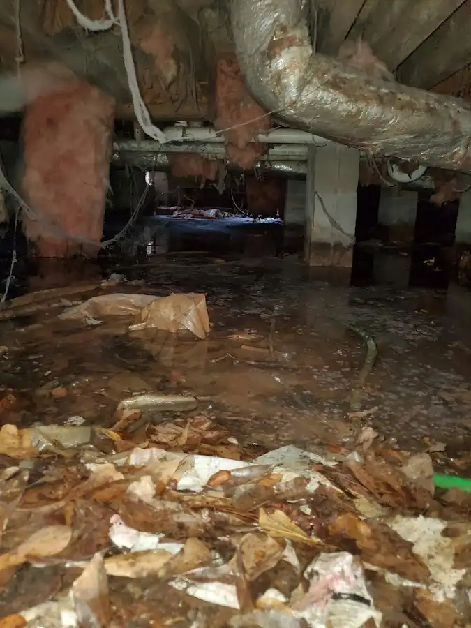 Crawl space flood assessment for Leak Detection & Repair in Rensselaer